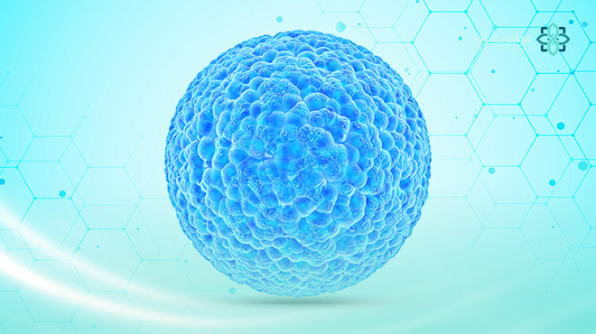 ما هي الخلايا الجذعية… وما أهم فوائدها للشعر والوجه؟