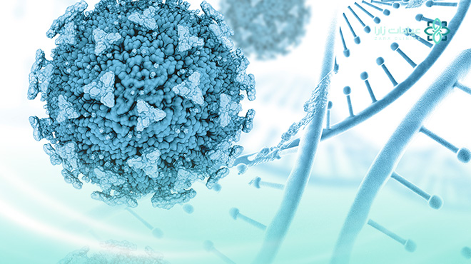 فوائد-الخلايا-الجذعية